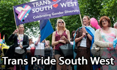 Trans Pride South West Flags